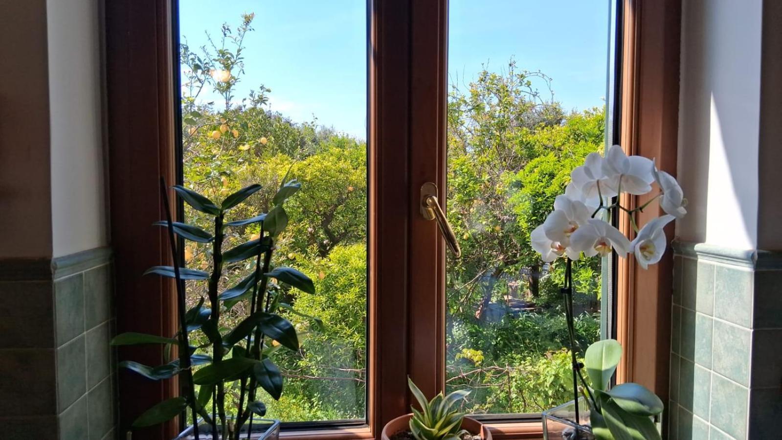메타 Il Giardino Dei Gigli 아파트 외부 사진
