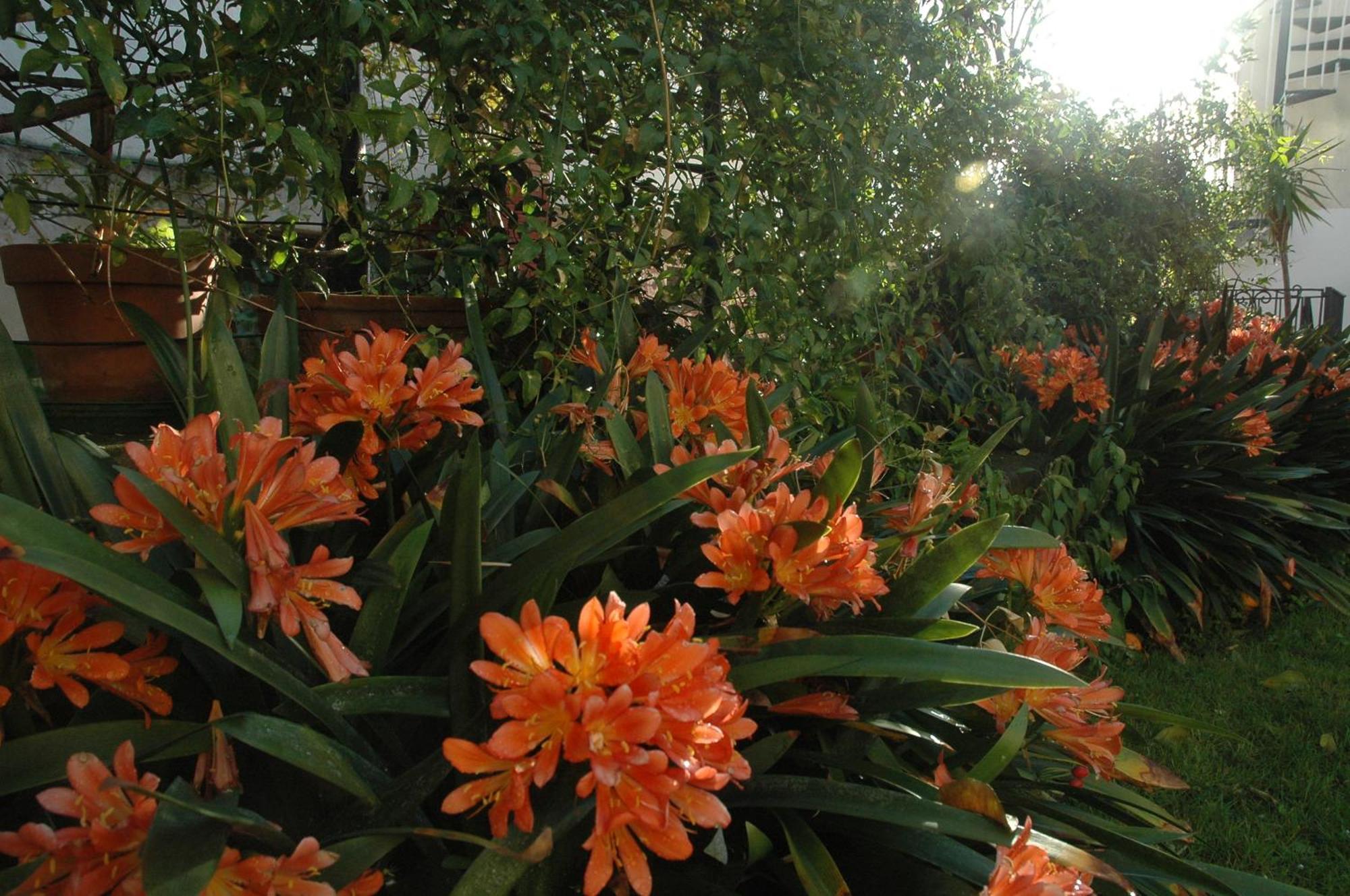 메타 Il Giardino Dei Gigli 아파트 외부 사진